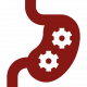 digestion