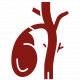 gallbladder